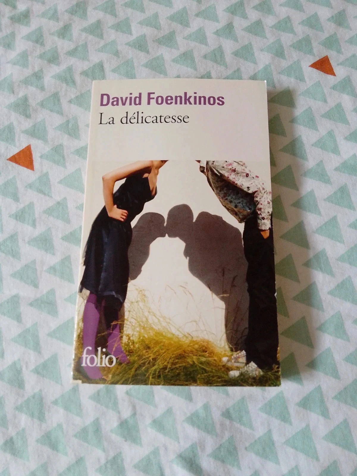 La délicatesse David foenkinos